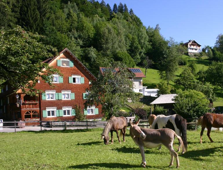 Hotel Gasthaus Schaefle Bürserberg エクステリア 写真