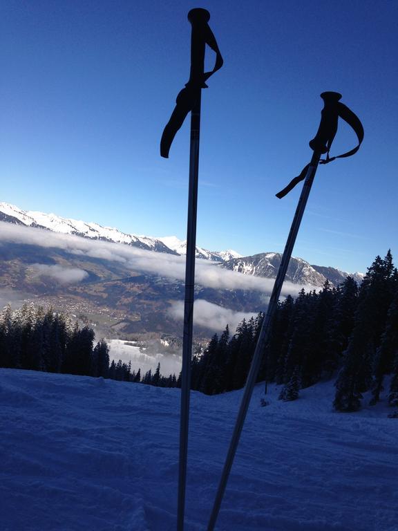 Hotel Gasthaus Schaefle Bürserberg エクステリア 写真