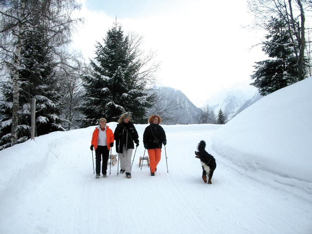 Hotel Gasthaus Schaefle Bürserberg エクステリア 写真